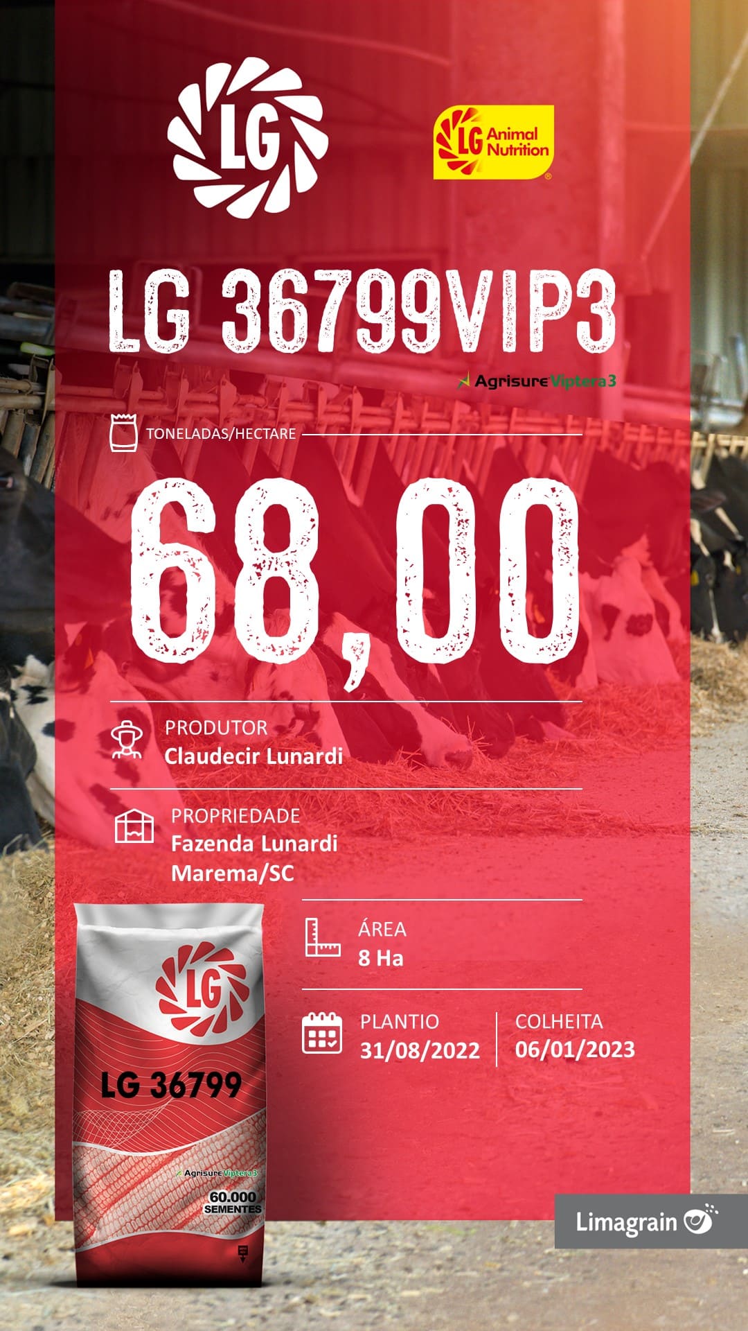 CLAUDECIR 799